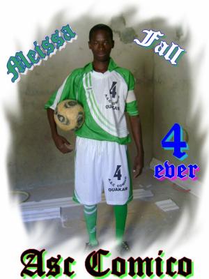 maissa 